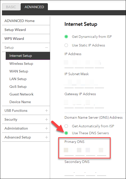 DNS Router Setting